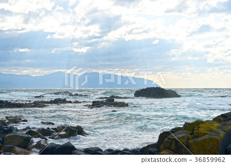 Wave of Golden Rose Wave of Golden Rose 36859962