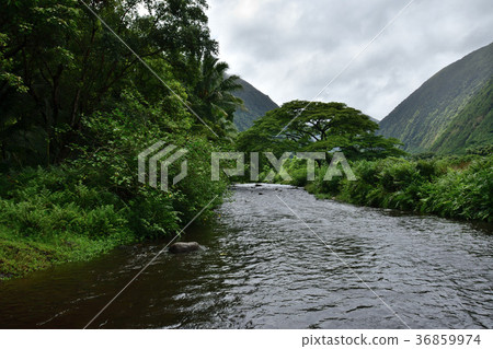 夏威夷島Waipio Valley遊覽風景 夏威夷島Waipio Valley遊覽風景 36859974