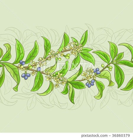 osmanthus vector pattern 36860379
