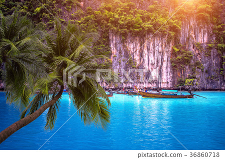 Tropical beach and long boat with palm trees  36860718