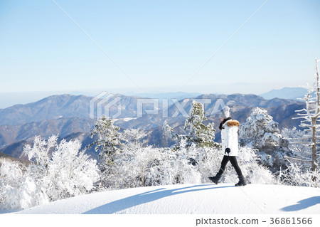 Woman, winter, snow, Mt. 36861566