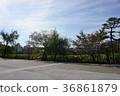 Shinobi pond and plants 36861879