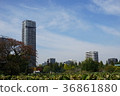 Shinobi Pond and Tower Mansion 36861880