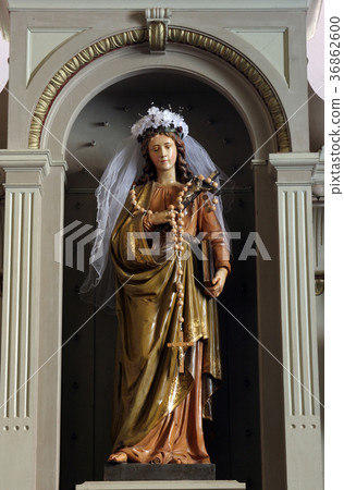 Saint Rosalia 36862600