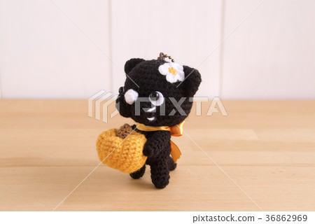 Black cat pumpkin Black cat pumpkin 36862969