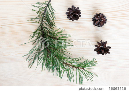 Pine branch and pine cones 36863316