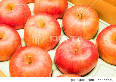 Shinshu apple Fuji boxing 36863630