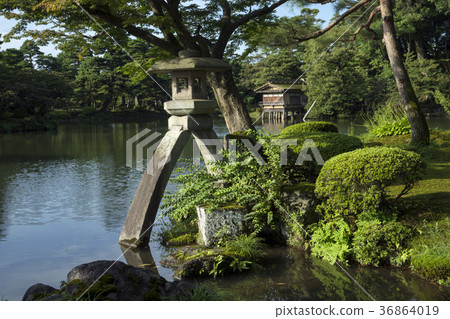 Kenrokuen庭院夏天庭院燈籠 36864019