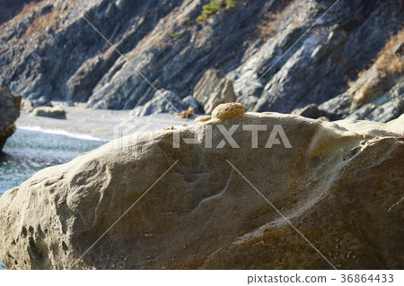 Sanriku Geopark 36864433