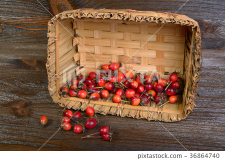 Rose hips Rose hips 36864740