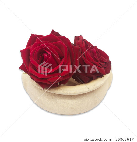 red roses in vase isolated on white background red roses in vase isolated on white background 36865617