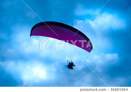 Botton up view of a paraglider flying 36865864