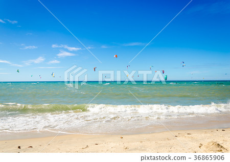 Many kite surfers enjoy their loved sport Many kite surfers enjoy their loved sport 36865906