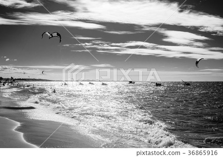 Black and white sunset with kite surfers on sea Black and white sunset with kite surfers on sea 36865916