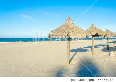 Many sun umbrellas at the beach sand 36865958