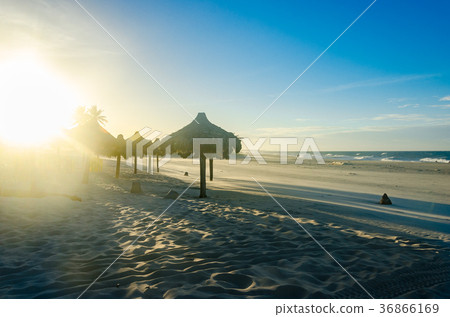 Several beach sun umbrellas at the sunset Several beach sun umbrellas at the sunset 36866169