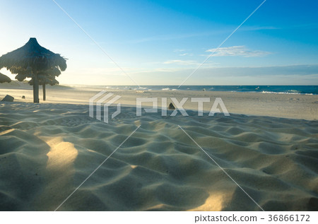 Several beach sun umbrellas at the sunset 36866172