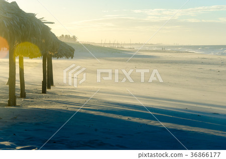 Overexposed beach evening with many sun umbrellas Overexposed beach evening with many sun umbrellas 36866177