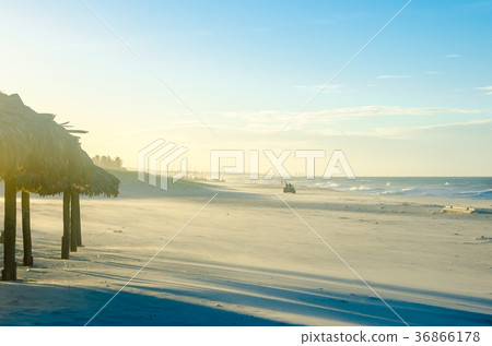 Buggy on the beach at the sunset 36866178