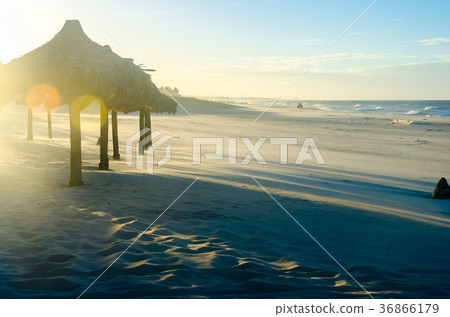 Overexposed beach evening with many sun umbrellas Overexposed beach evening with many sun umbrellas 36866179