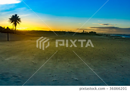 Beach landscape at the sunset with windmills 36866201