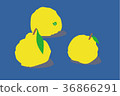 Gorogoro Yuzu 36866291