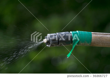 Mist shower 36866727