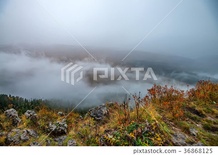 Autumn landscape with mountain forest Autumn landscape with mountain forest 36868125