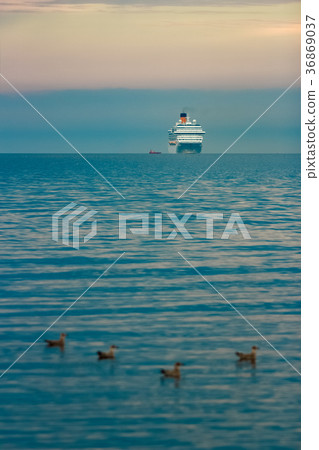 Large royal cruise liner 36869037