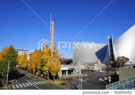 December Mejiro-dori Ginkgo Tree-lined yellow leaf 05 in front of the Cathedral Sekiguchi Church December Mejiro-dori Ginkgo Tree-lined yellow leaf 05 in front of the Cathedral Sekiguchi Church 36869888