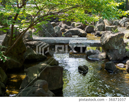 Dai Yokogawa水上樂園 36871037