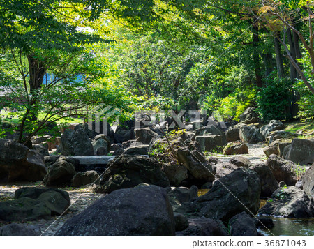 Dai Yokogawa水上樂園 36871043