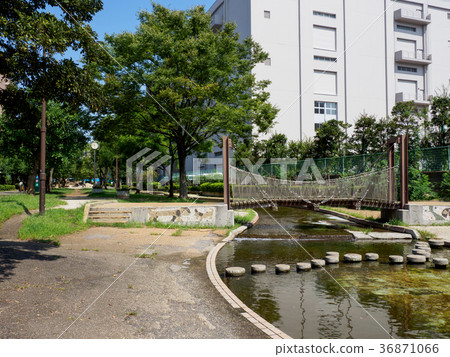 Dai Yokogawa水上樂園 Dai Yokogawa水上樂園 36871066