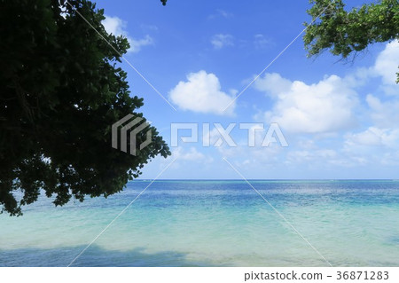 馬紹爾群島海 馬紹爾群島海 36871283