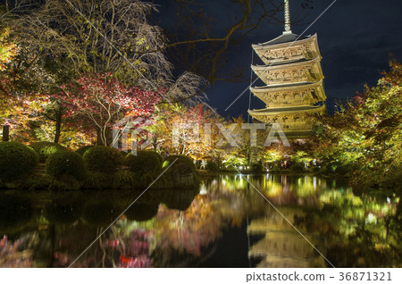 Autumn leaves light up of Toji Temple 36871321