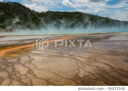 Yellowstone National Park Yellowstone National Park 36871508