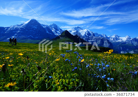 Hiking day Hiking day 36871734