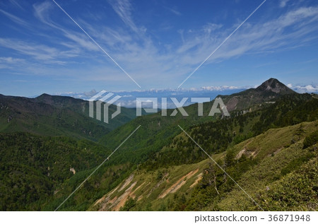 Shiga Kogen with fresh green Shiga Kogen with fresh green 36871948