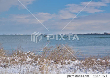 琵琶湖與雪化妝 琵琶湖與雪化妝 36871971