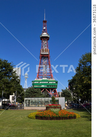 大通公園在夏天 36873118