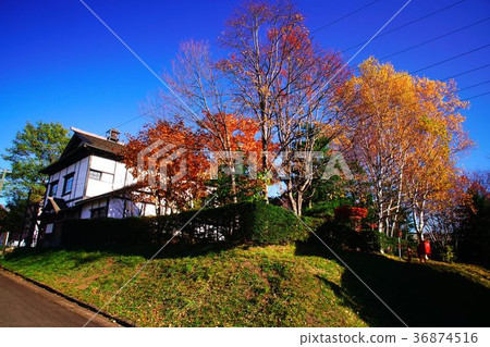 在深秋的夜光閃閃發光 36874516