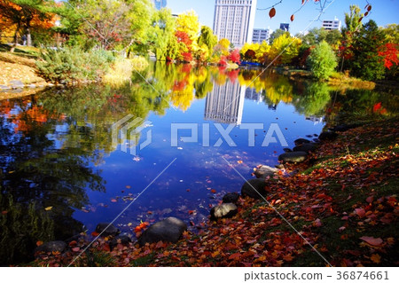 在深秋的夜光閃閃發光 36874661