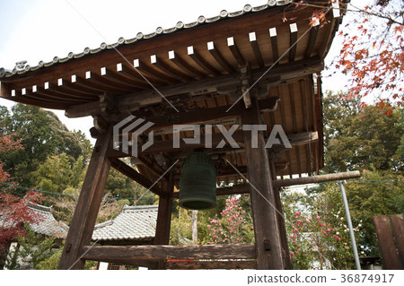 Jorakuji colored leaves 2017 Jorakuji colored leaves 2017 36874917