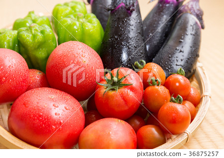 Assorted summer vegetables (home garden) Shizuru 36875257