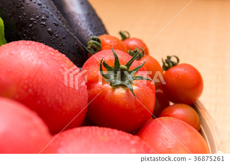 什錦夏季蔬菜（家庭花園）Shizuru 36875261