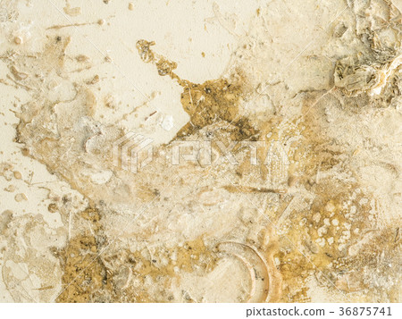 Texture and background of old wood panel Texture and background of old wood panel 36875741