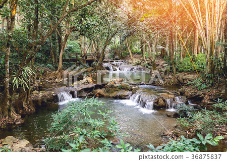 waterway in tropical rainforest with flare  36875837