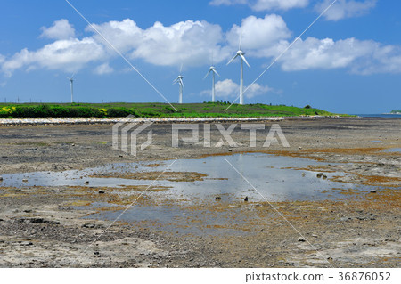 Taiwan, lagoon, intertidal zone, beach, sea, day, water, windmill, wind power, environmental protection, green energy, seaside, beach 36876052