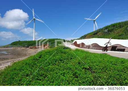 Taiwan, lagoon, intertidal zone, beach, sea, day, water, windmill, wind power, environmental protection, green energy, seaside, beach 36876053