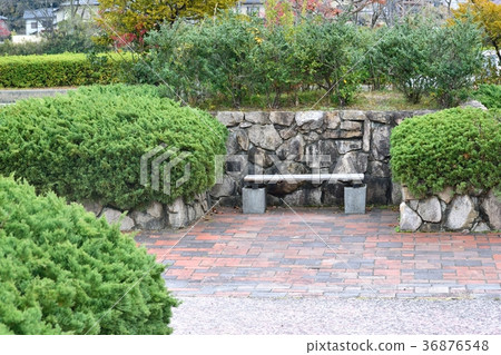 在一個保存完好的公園裡的灌木叢 在一個保存完好的公園裡的灌木叢 36876548